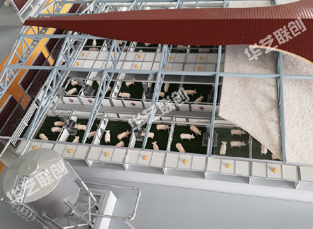 Pig farm